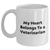 Funny Veterinarian White Coffee Mug, My Heart Belongs To A Veterinarian, Gifts from Family to Father's Day Unique, White Coffee Mug for Veterinarian - Main