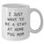 Pug Dog Mom Gifts from Friends - I Just Want To Be A Stay At Home Pug Mom Funny White Coffee Mug for Father's Day Unique Gifts for Men - Additional