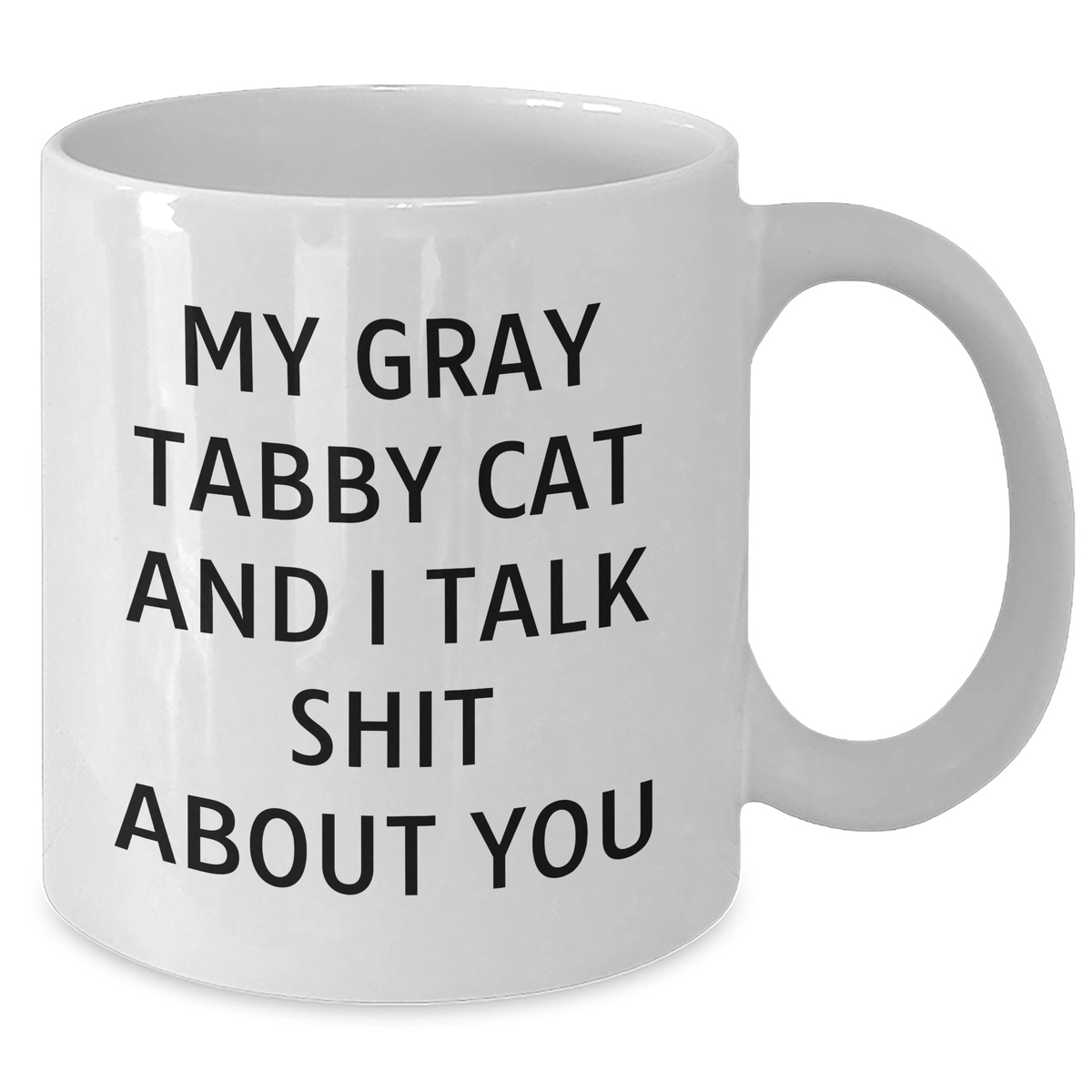 Funny Gray Tabby Cat White Coffee Mug Gifts from Men to Gray Tabby Cat Lovers - My Gray Tabby Cat And I Talk Shit About You, Unique Gifts for Father's Day - Additional