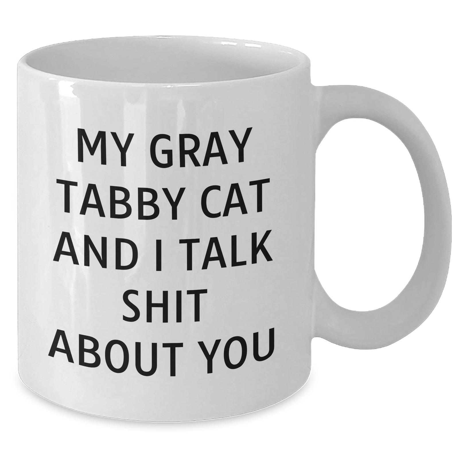 Funny Gray Tabby Cat White Coffee Mug Gifts from Men to Gray Tabby Cat Lovers - My Gray Tabby Cat And I Talk Shit About You, Unique Gifts for Father's Day - Additional
