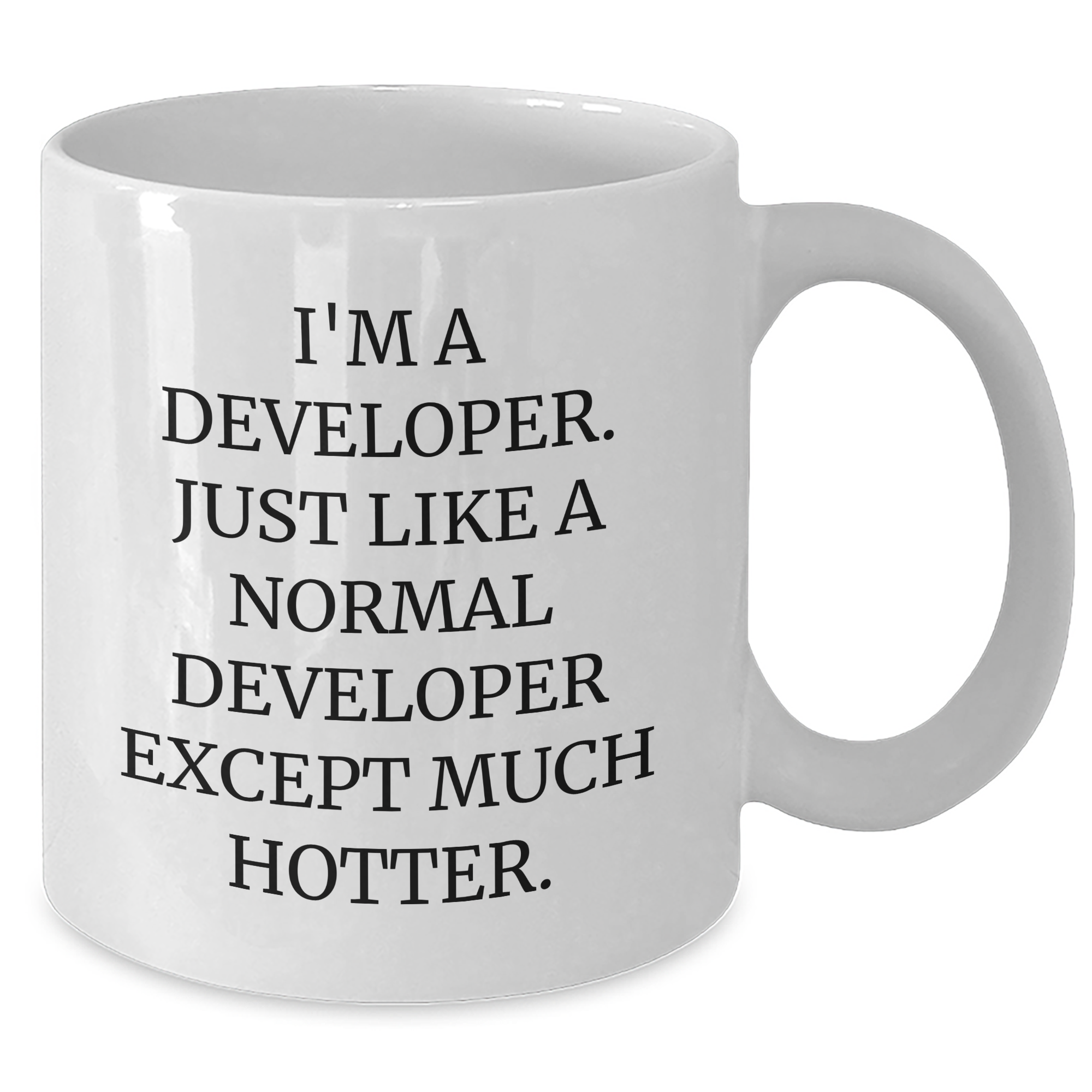 Funny Developer Mugs Gifts from Friends for Mother's Day, White Coffee Mug Quote 'I'm A Developer. Just Like A Normal Developer Except Much Hotter.' - Additional