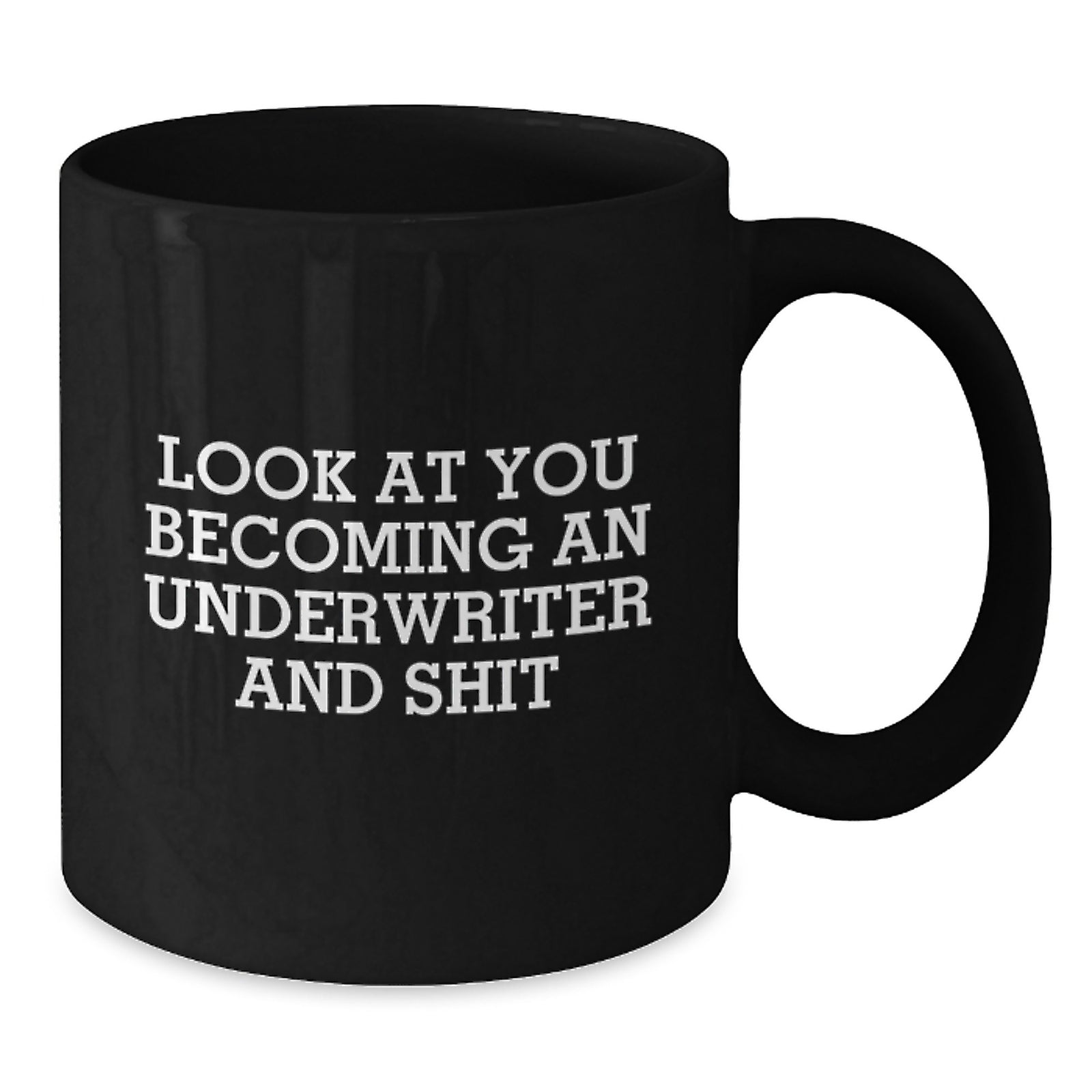 Christmas Gift for Her A Humorous Underwriter's Present - Look At You - Additional