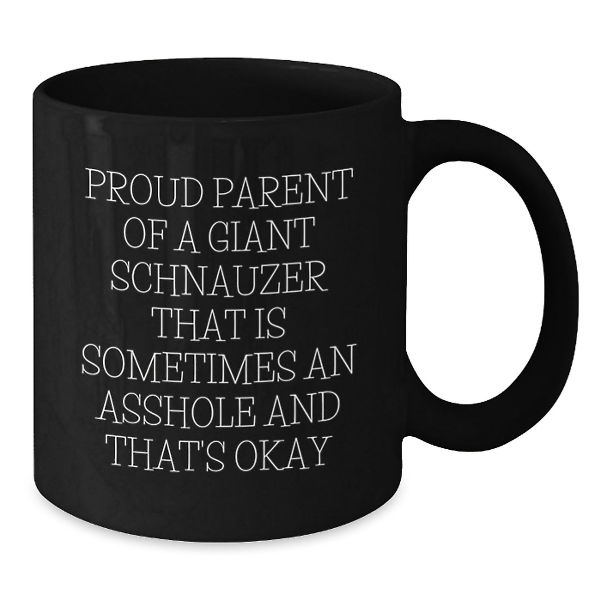 Funny Giant Schnauzer Dog Parent Gifts from Men to Friends for Graduation - Proud Parent Coffee Mug - Additional