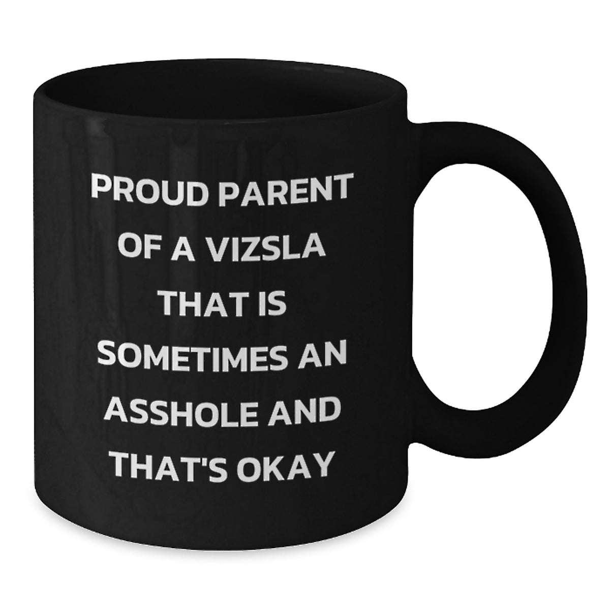 Funny Vizsla Dog Lover Gifts from Mom to Daughter for Graduation Unique Black Coffee Mugs with Proud Parent Quote - Vizsla Dog Dad Gifts for Men - Additional