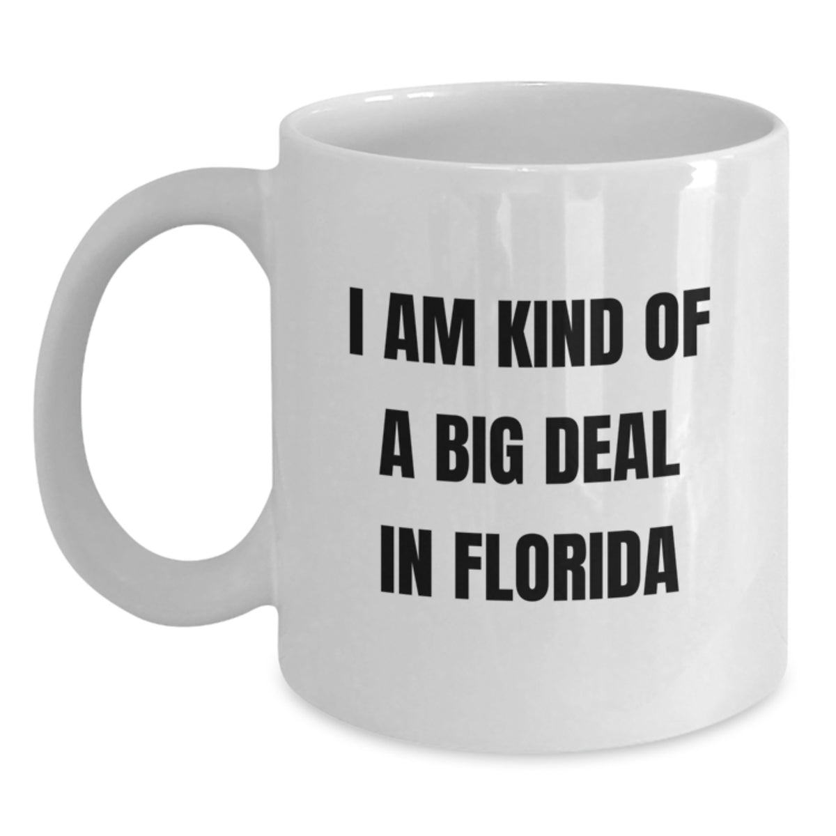 Funny Florida White Coffee Mugs Gifts from Friends for Men Women Family Christmas Unique - Main