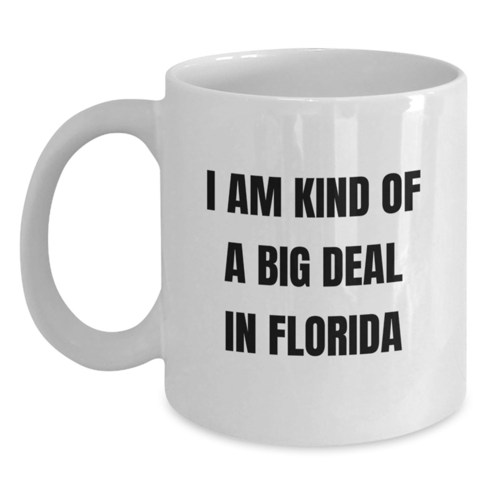 Funny Florida White Coffee Mugs Gifts from Friends for Men Women Family Christmas Unique - Main