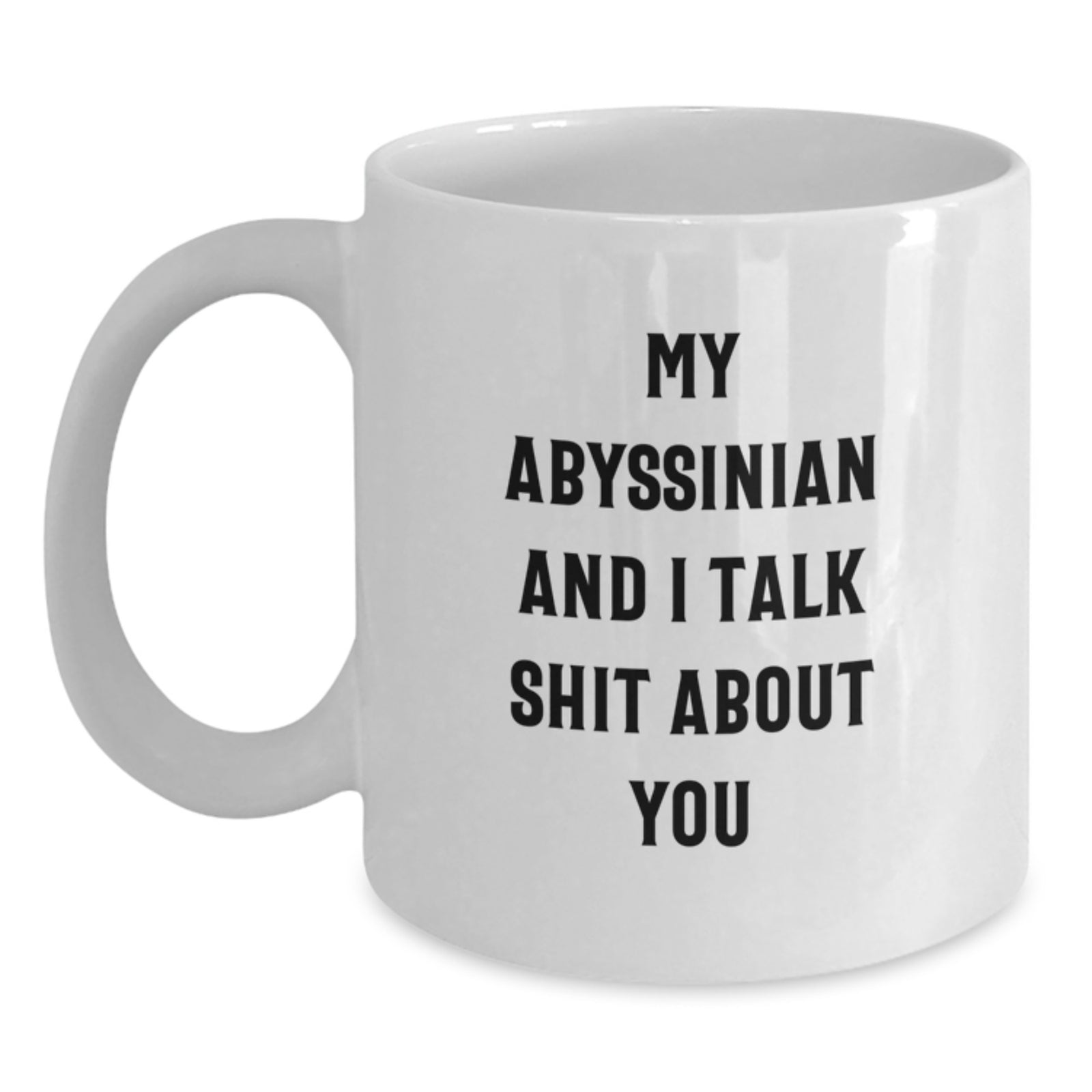 Funny Abyssinian Cat Lover Gifts, White Coffee Mug for Abyssinian Cat Enthusiasts, Unique Gifts from Men to Men on Father's Day, 'My Abyssinian And I Talk Shit About You' Coffee Mug - Main