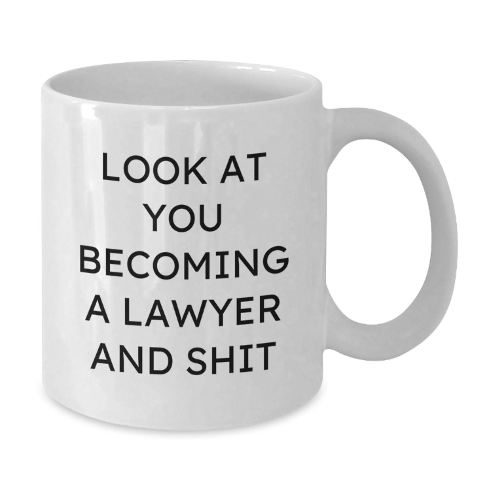 Lawyer Gift For Him A Humorous Keepsake Mug - Look At You Becoming A - Additional