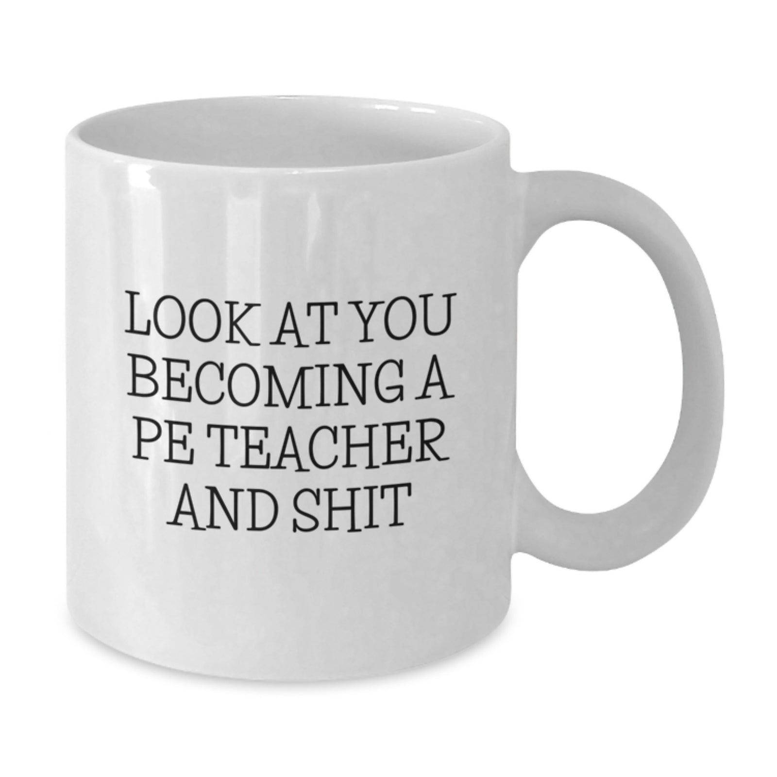 Christmas Gift for Her A Humorous Present for a PE Teacher's Journey - Additional