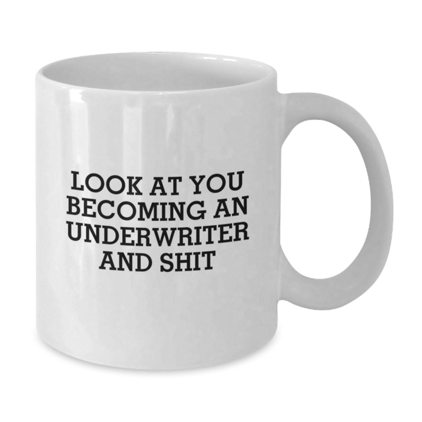 Christmas Gift for Her - Lighthearted Underwriter Present, 'Look At You - Additional