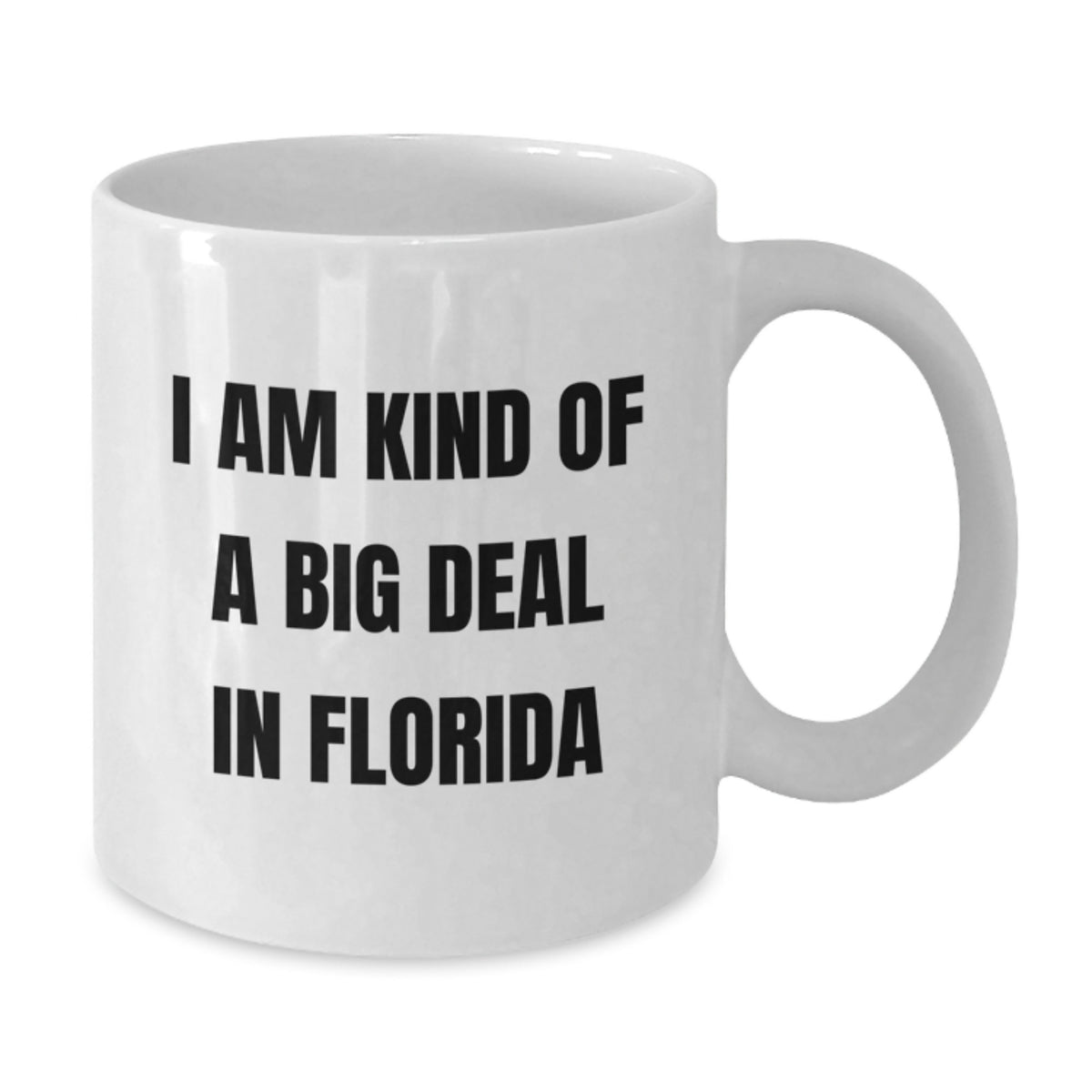 Funny Florida White Coffee Mugs Gifts from Friends for Men Women Family Christmas Unique - Additional