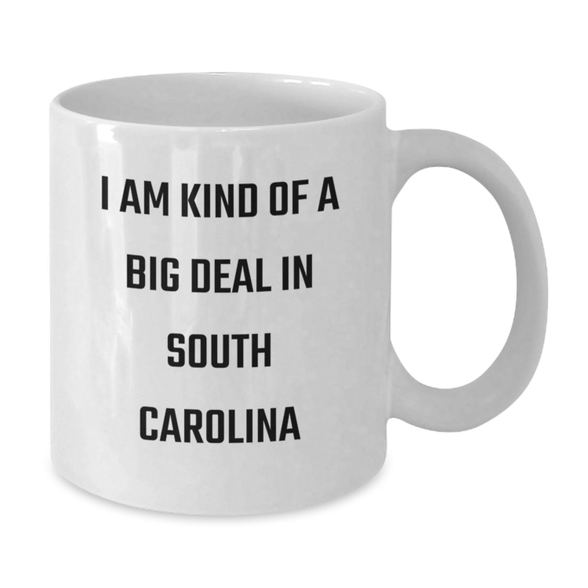 Funny South Carolina Gifts from Friends and Family - White Coffee Mug - 'I Am Kind Of A Prime Selection In South Carolina' Christmas Unique Mugs - Additional