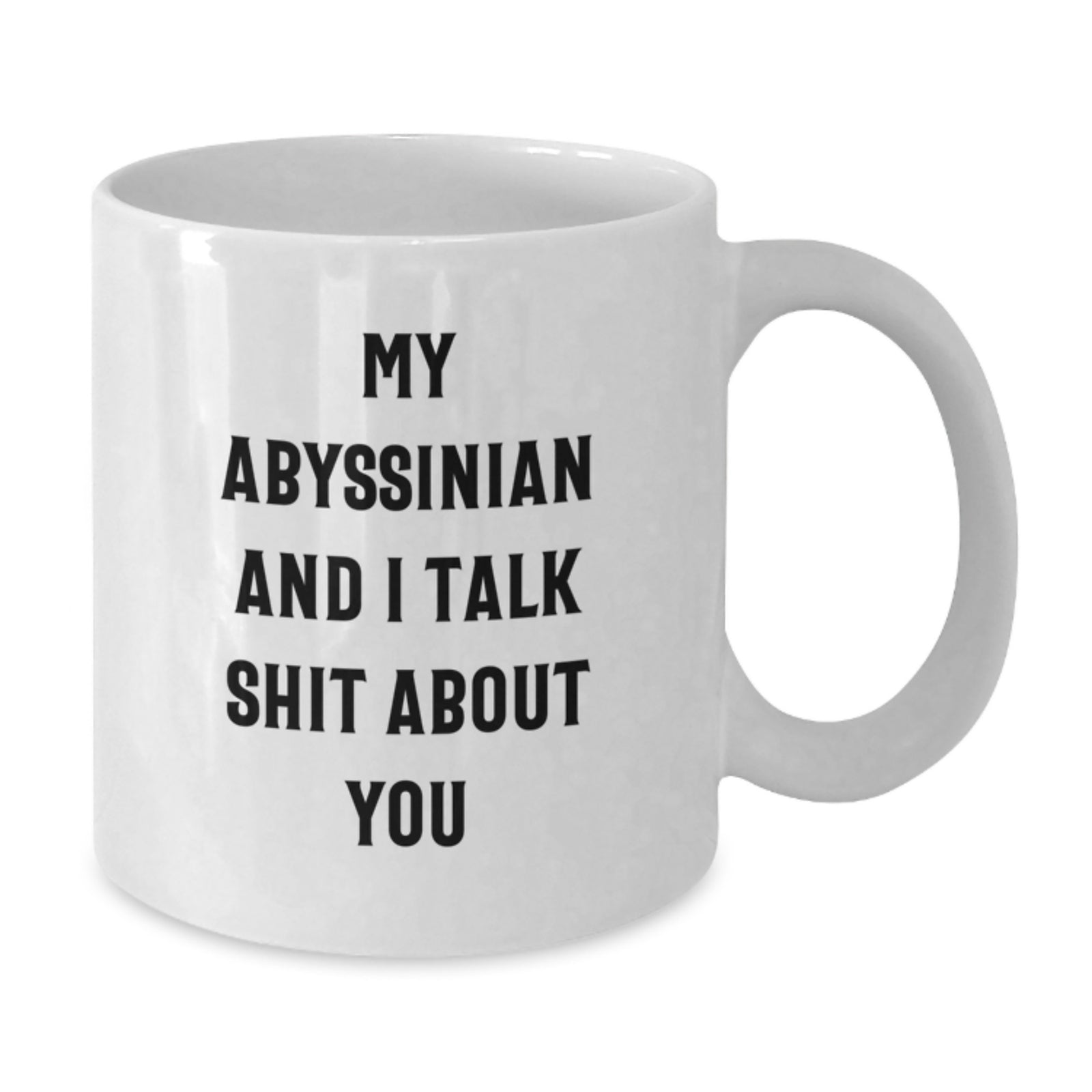 Funny Abyssinian Cat Lover Gifts, White Coffee Mug for Abyssinian Cat Enthusiasts, Unique Gifts from Men to Men on Father's Day, 'My Abyssinian And I Talk Shit About You' Coffee Mug - Additional