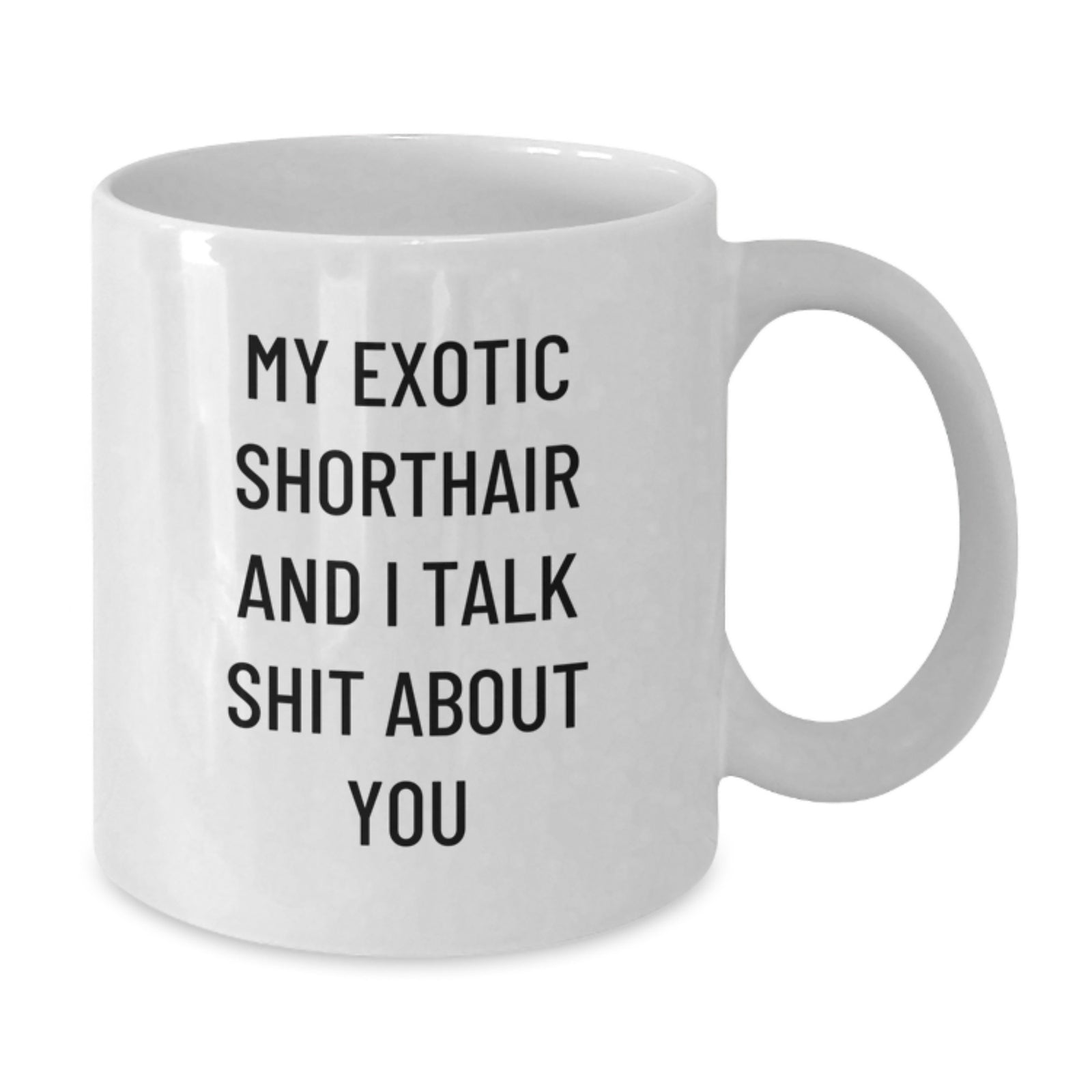 Exotic Shorthair Cat Lover Funny White Coffee Mugs - Gifts from Friends for Exotic Shorthair Cat Owners - Commemorate Graduation Success - Additional