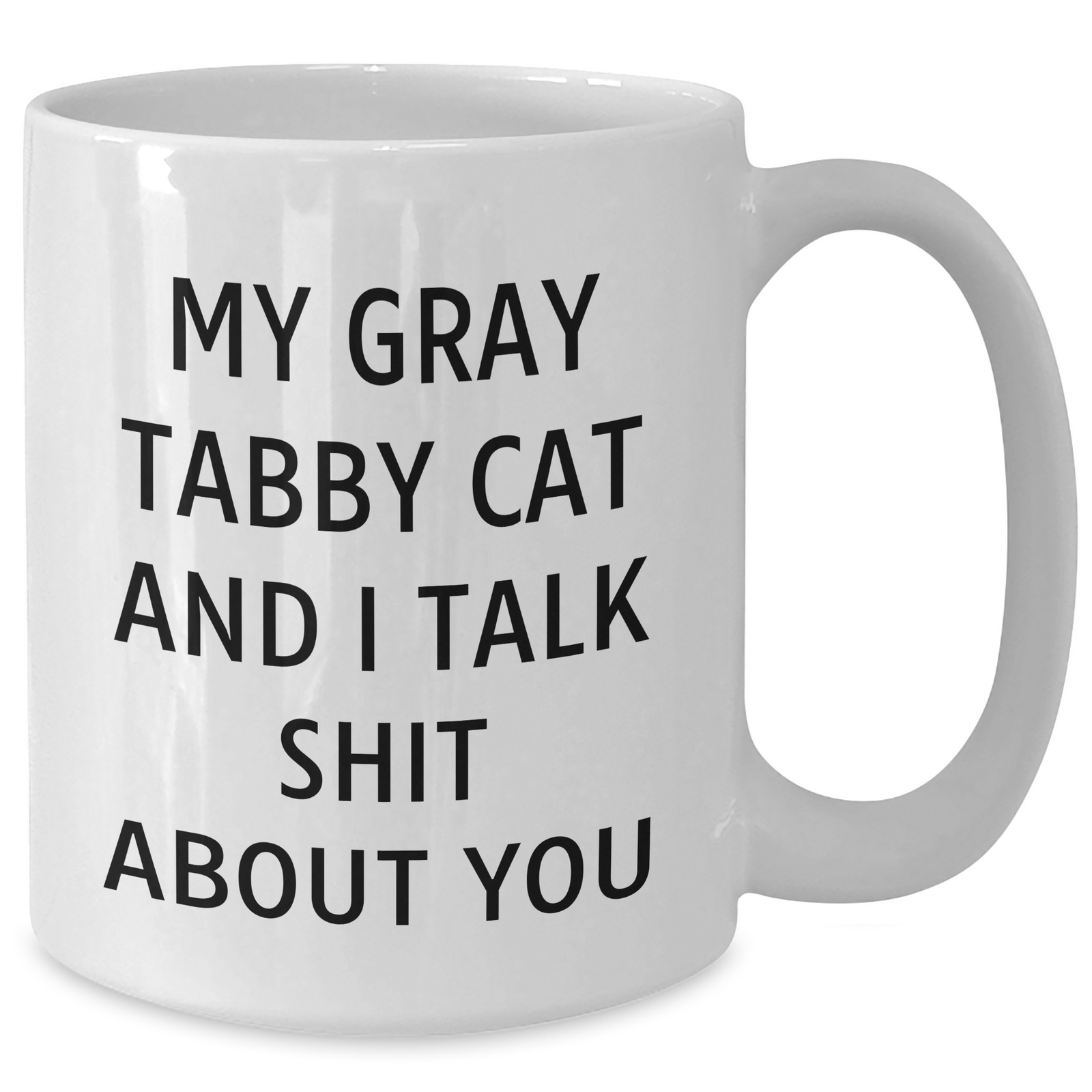 Funny Gray Tabby Cat White Coffee Mug Gifts from Men to Gray Tabby Cat Lovers - My Gray Tabby Cat And I Talk Shit About You, Unique Gifts for Father's Day - Additional
