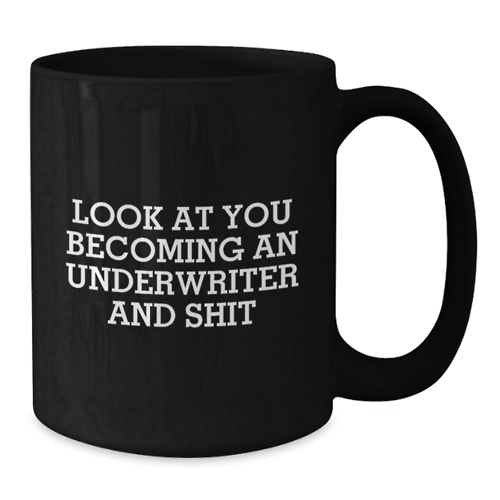 Christmas Gift for Her A Humorous Underwriter's Present - Look At You - Additional