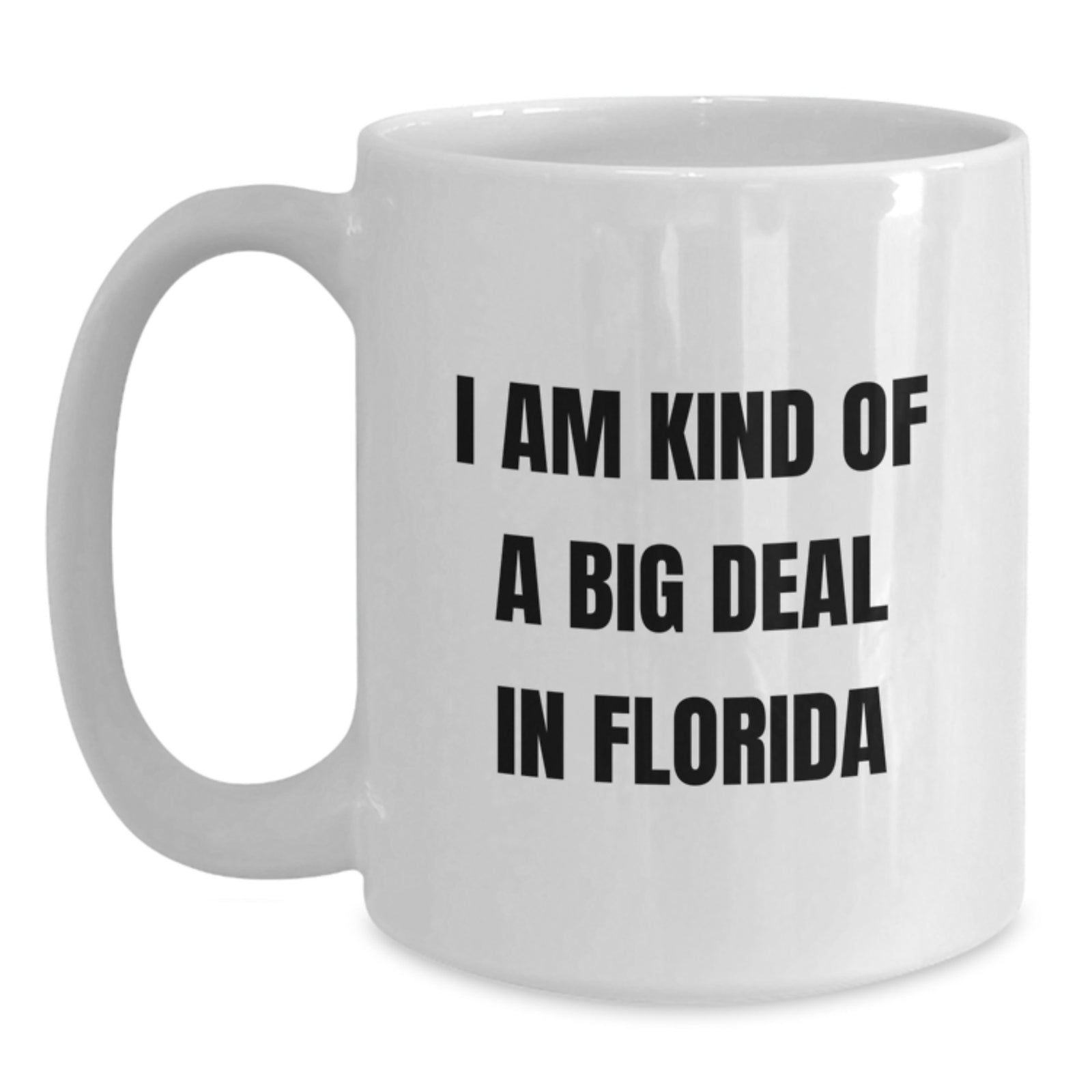 Funny Florida White Coffee Mugs Gifts from Friends for Men Women Family Christmas Unique - Main