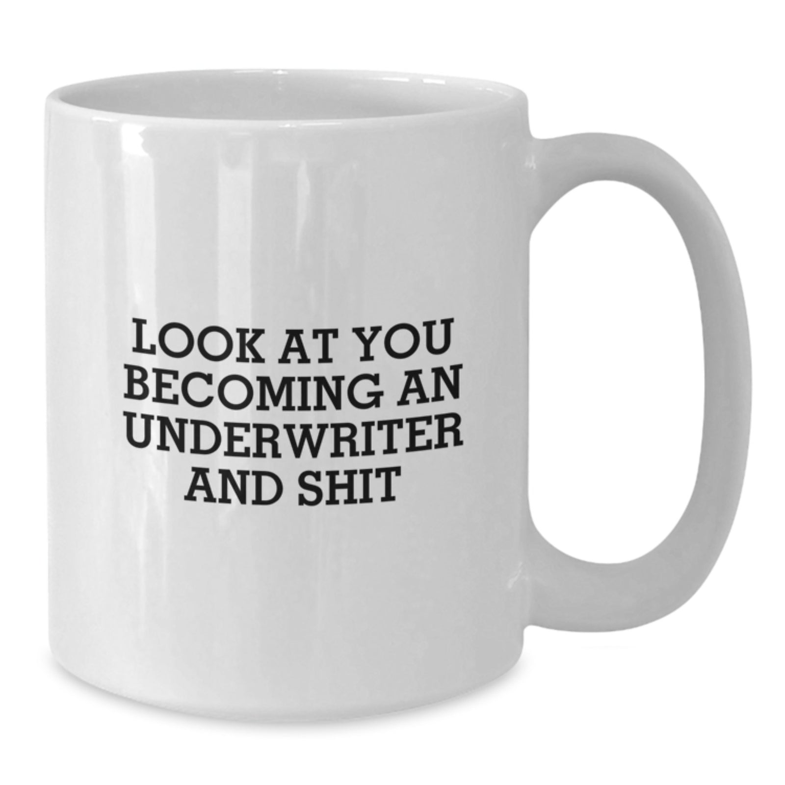Christmas Gift for Her - Lighthearted Underwriter Present, 'Look At You - Additional