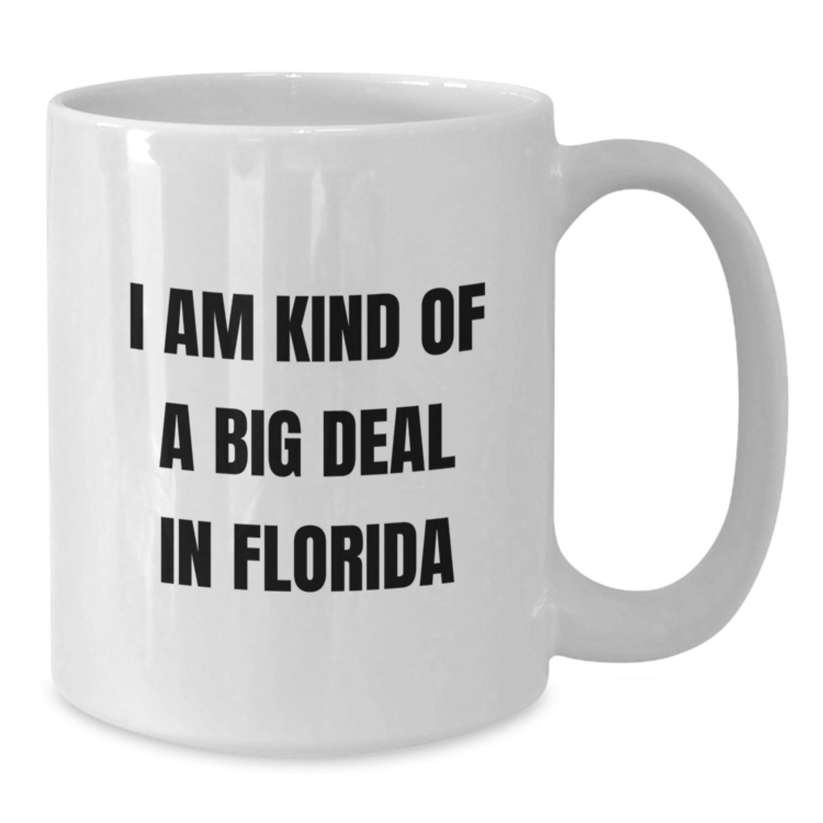 Funny Florida White Coffee Mugs Gifts from Friends for Men Women Family Christmas Unique - Additional