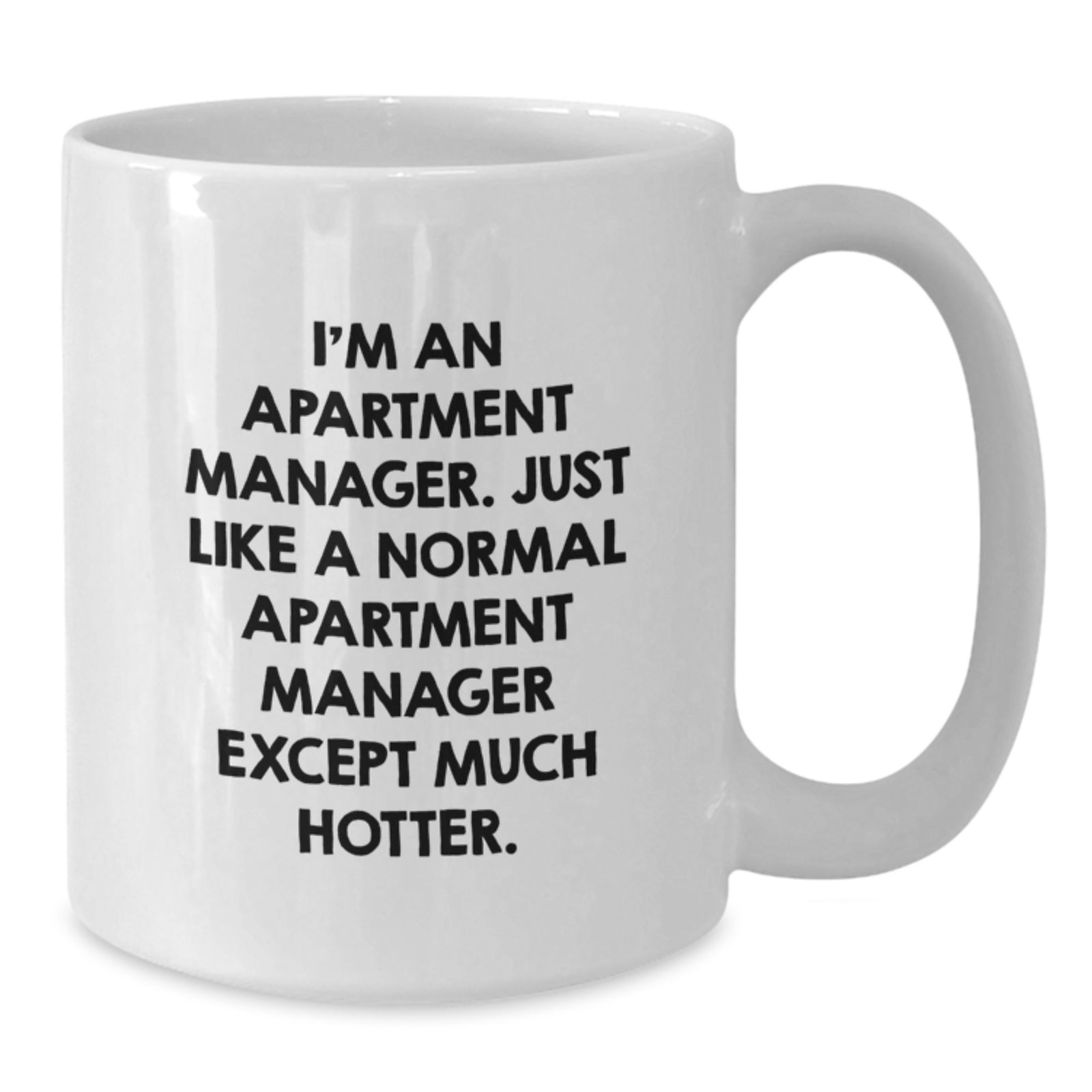 Funny Apartment Manager Gifts, Unique White Coffee Mugs, Birthday Wishes from Friends and Family - Additional