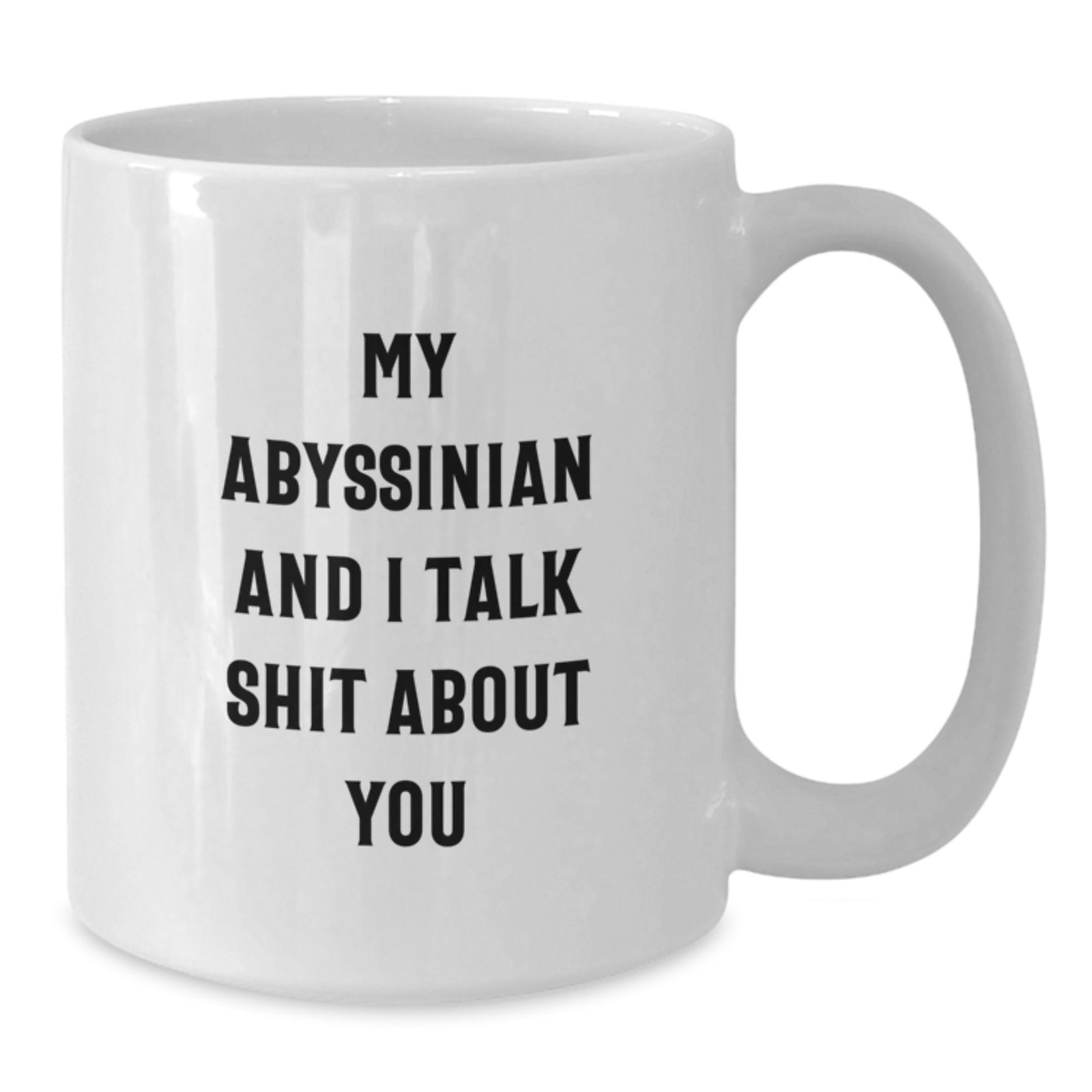 Funny Abyssinian Cat Lover Gifts, White Coffee Mug for Abyssinian Cat Enthusiasts, Unique Gifts from Men to Men on Father's Day, 'My Abyssinian And I Talk Shit About You' Coffee Mug - Additional