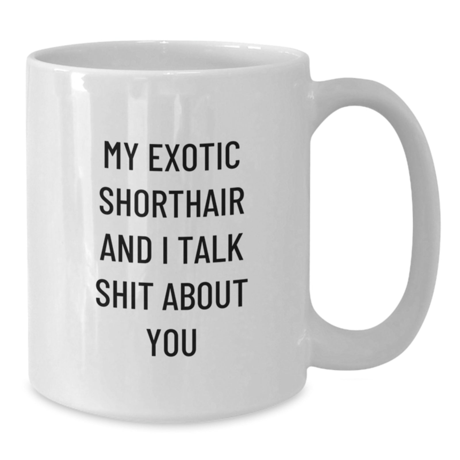 Exotic Shorthair Cat Lover Funny White Coffee Mugs - Gifts from Friends for Exotic Shorthair Cat Owners - Commemorate Graduation Success - Additional
