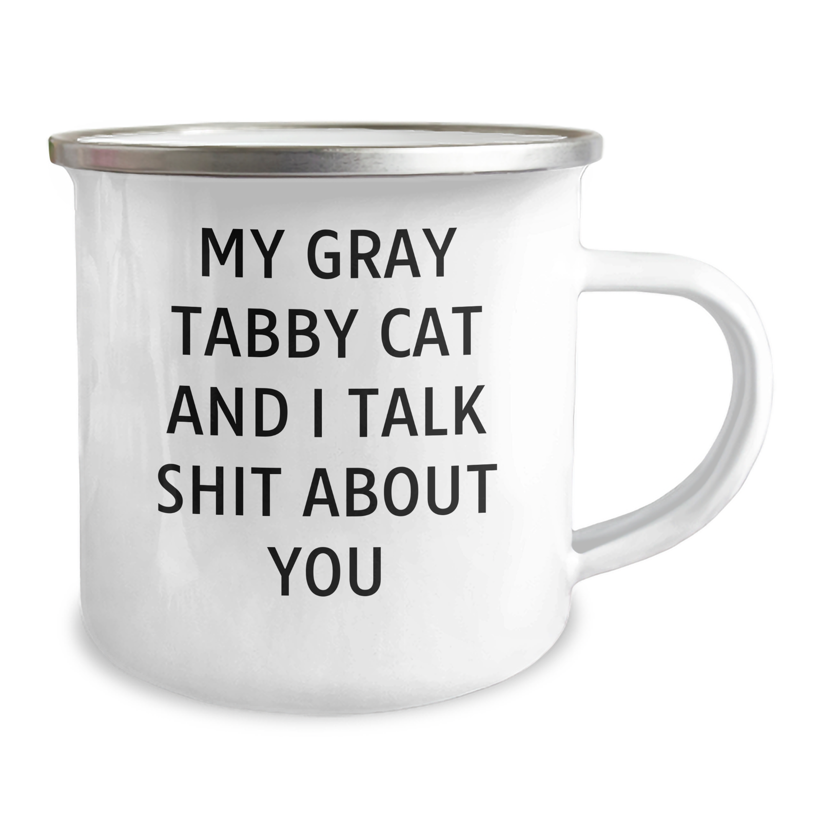 Funny Gray Tabby Cat Gifts for Men - My Gray Tabby Cat And I Talk Shit About You, Camping Mug for Father's Day, Gifts from Friends - Image 2
