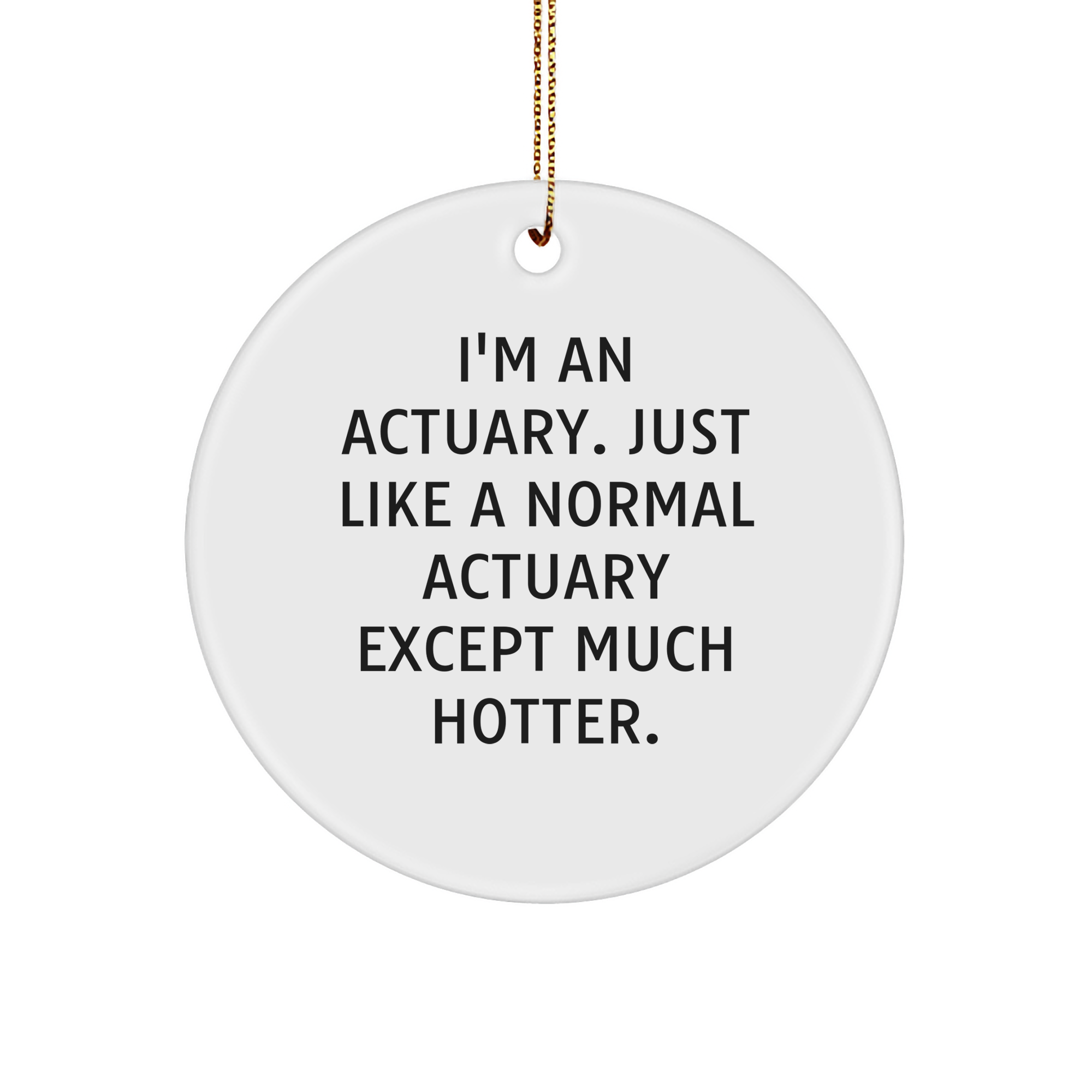 Actuary Gifts, Funny Quote, Circle Ornament, Christmas Unique Gifts from Friends, for Men, Women, Coworkers, Family - Image 1