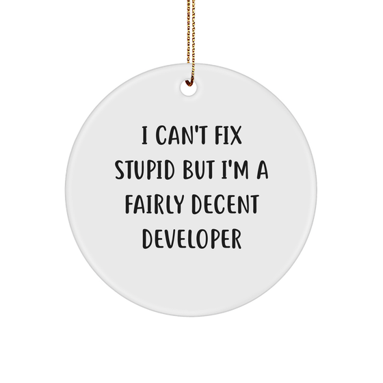 Developer Circle Ornament - A Fairly Decent Gift for Christmas, Quotes about Developer Humor, Funny Developer Gift Ideas, I Can't Fix Stupid But I'm A Fairly Decent Developer Quote Circle Ornament - Image 1