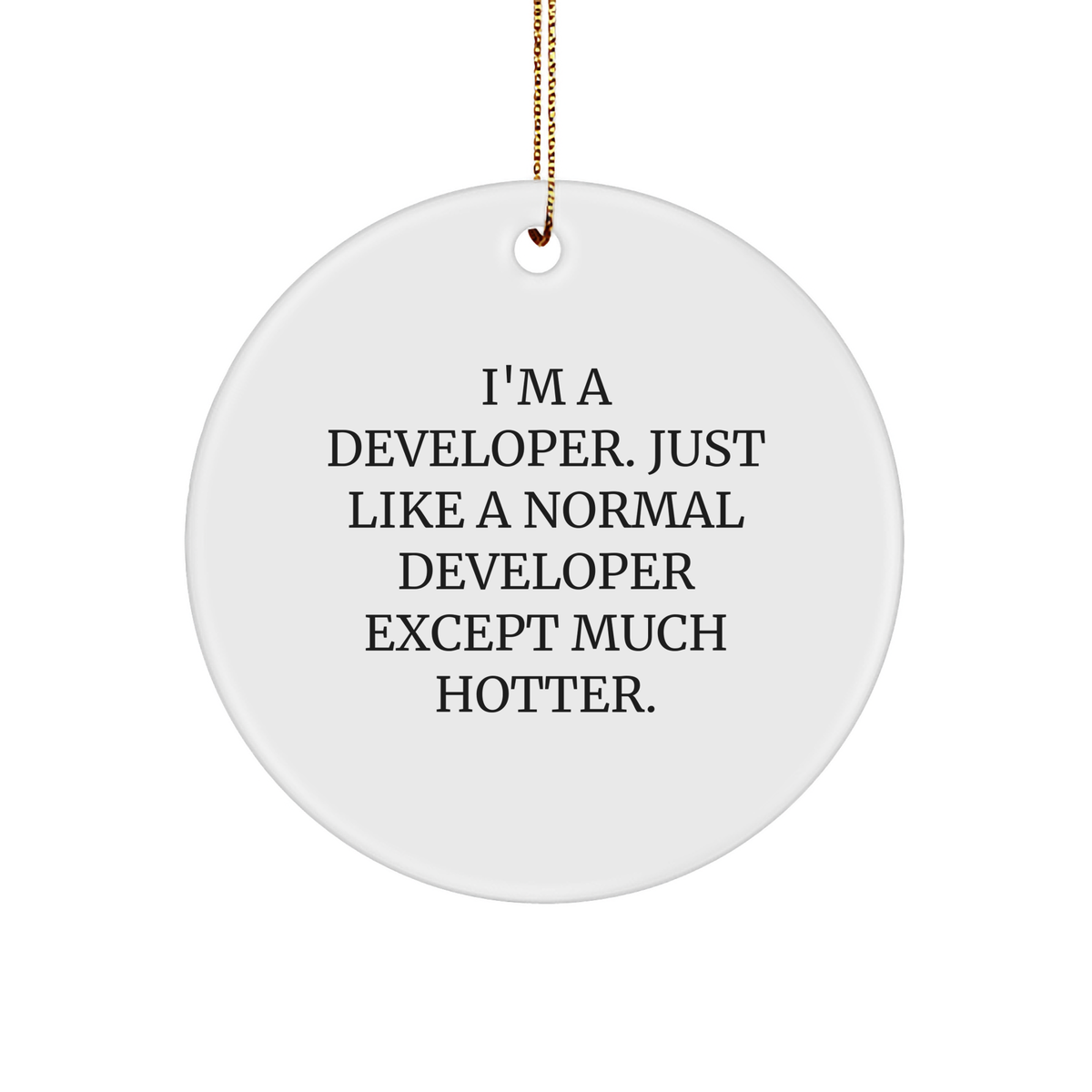 Funny Developer Gifts from Friends for Him - I&#39;m A Developer Circle Ornament, Unique Christmas Decorations - Image 1