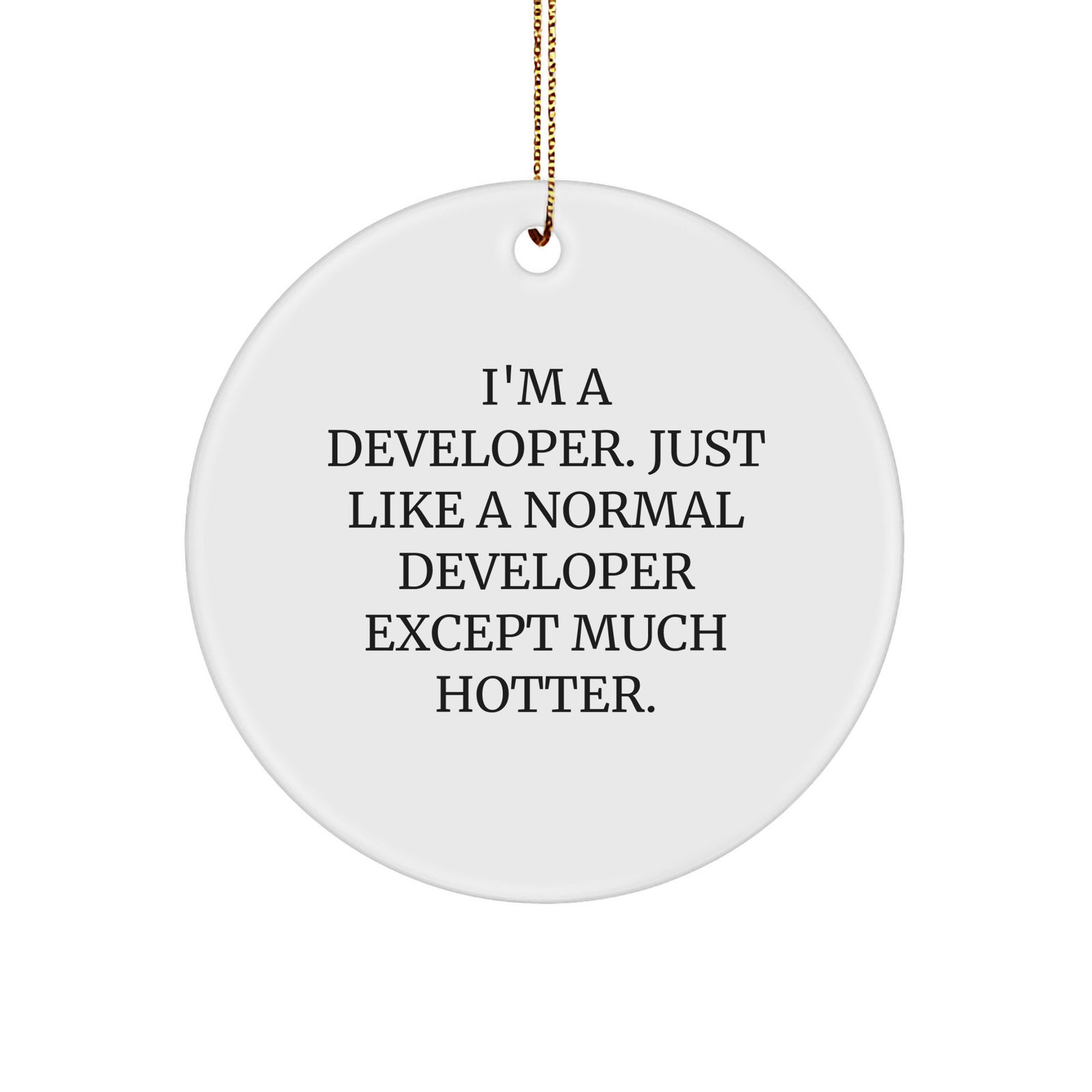 Funny Developer Gifts from Friends for Him - I'm A Developer Circle Ornament, Unique Christmas Decorations - Image 1