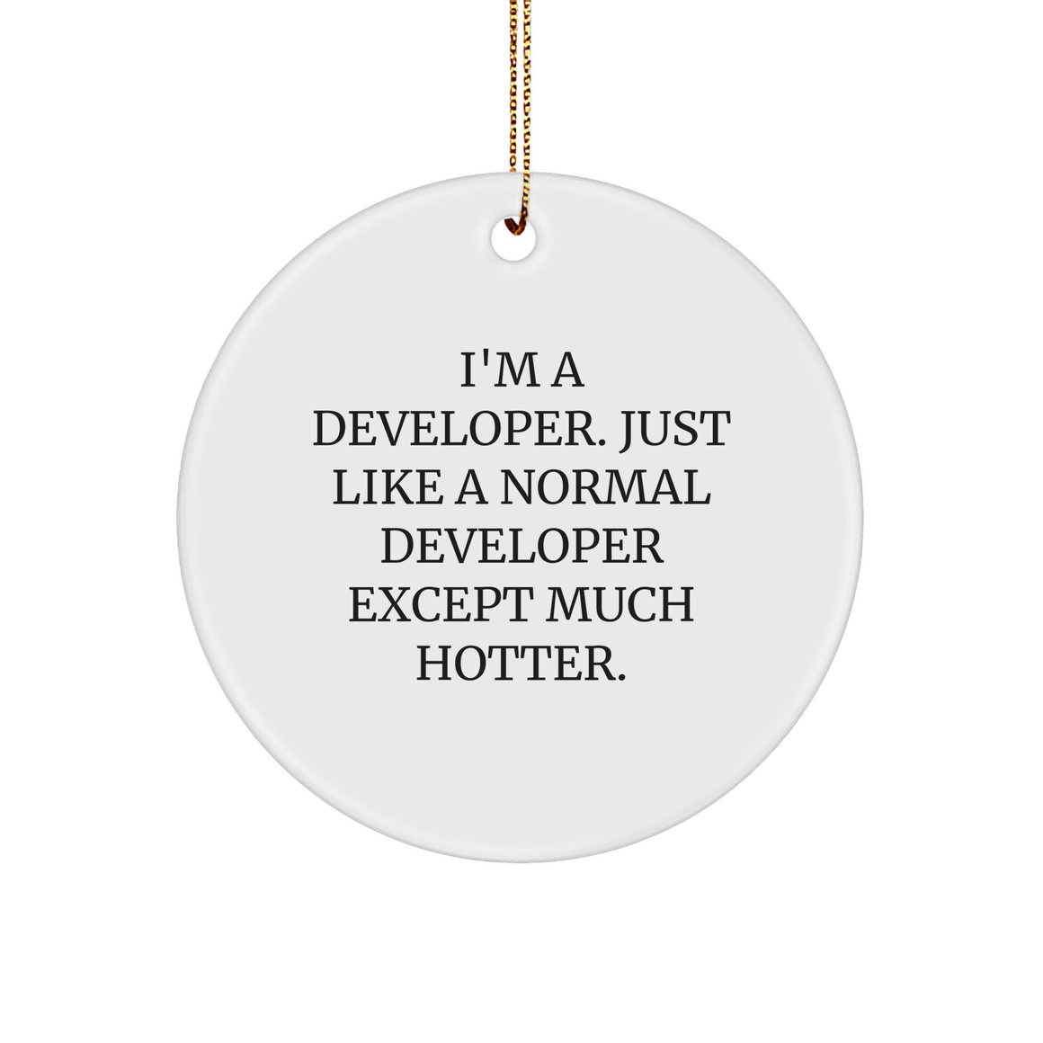 Funny Developer Gifts from Friends for Him - I'm A Developer Circle Ornament, Unique Christmas Decorations - Image 1