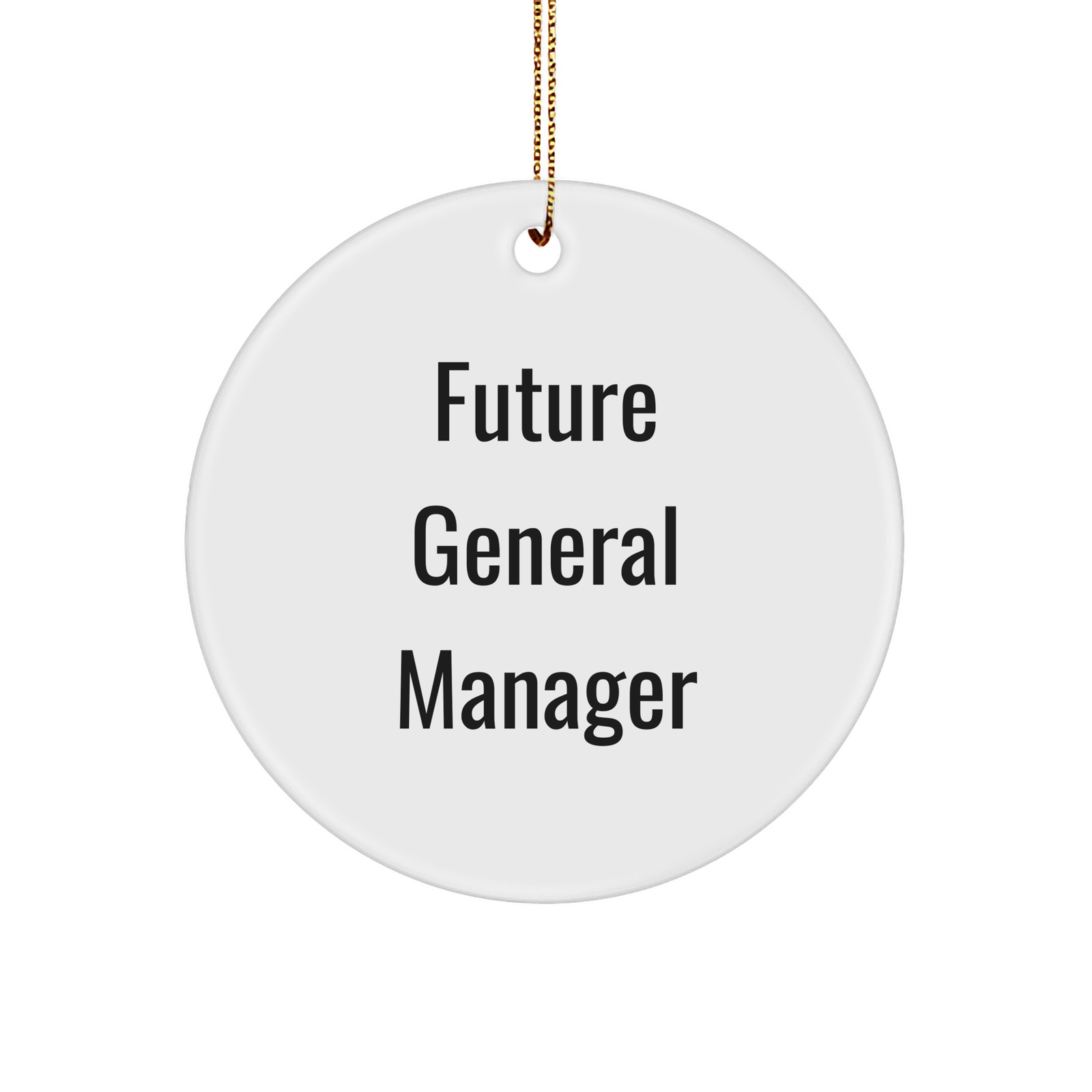 Inspirational Future General Manager Circle Ornament Gifts for General Managers Christmas Ornaments General Manager Appreciation Gifts from Mom to Future General Manager - Image 1