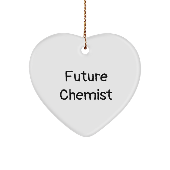 Funny Future Chemist Christmas Heart Ornament Gifts from Friends and Family - Image 1