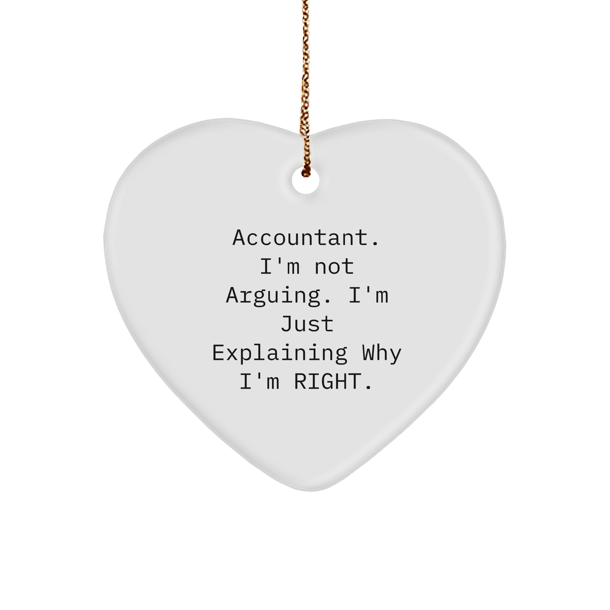 Funny Accountant Ornament - Gifts from Coworkers - Christmas Unique Gifts - Image 1