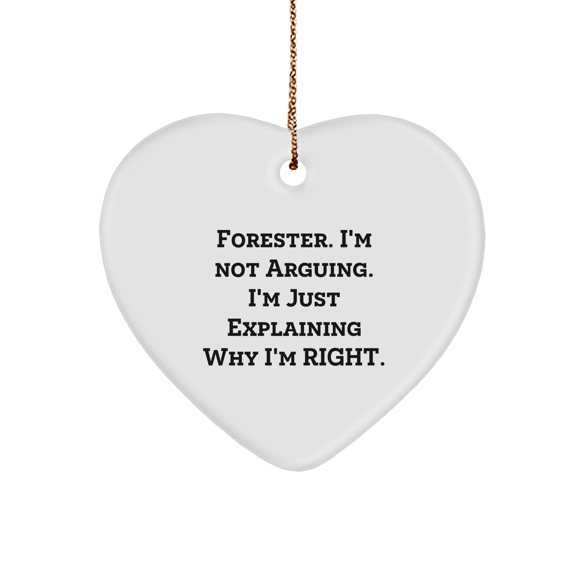 Forester's Sassy Heart Ornament, Funny Quote Christmas Unique Gift for Forester Lovers, Heart Ornament with Gold Tone String, Gifts from Friends to Forester - Image 1
