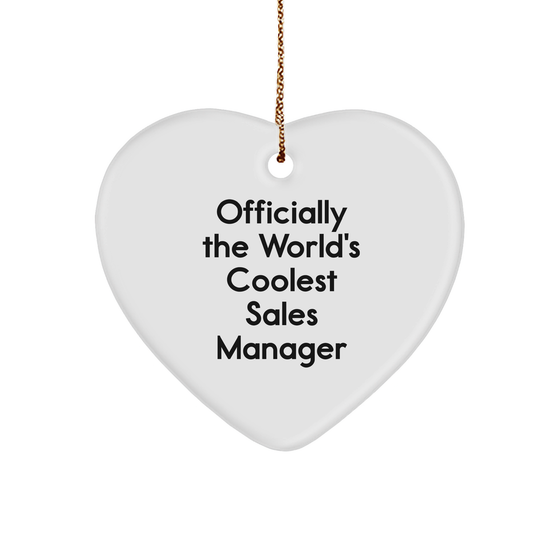 From The World's Coolest Sales Manager: Funny Inspirational Gifts for Sales Manager Wife Gift Ideas Unique Christmas Unique Gifts for Sales Manager Mom - Image 1