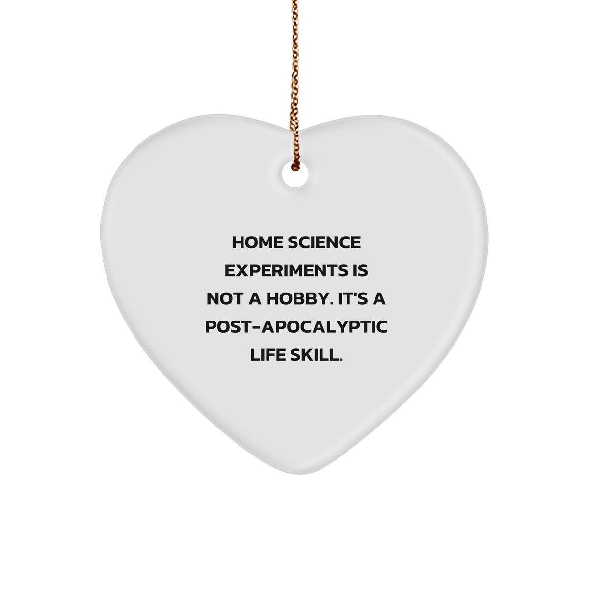 Post-Apocalyptic Life Skill Home Science Experiments Heart Ornament Gifts - Inspirational Funny MDF Heart Shaped Decoration for Christmas - Unique Gifts for Home Science Experiment Enthusiasts - Image 1