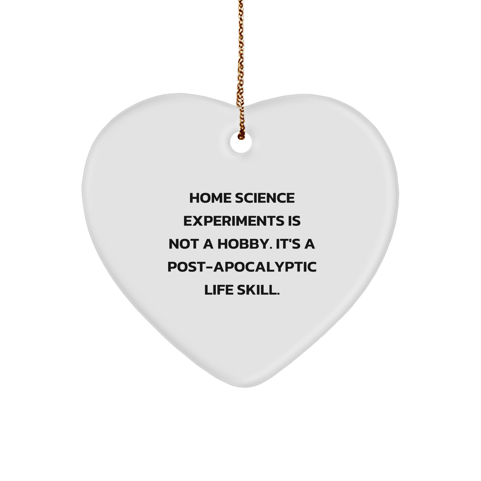 Post-Apocalyptic Life Skill Home Science Experiments Heart Ornament Gifts - Inspirational Funny MDF Heart Shaped Decoration for Christmas - Unique Gifts for Home Science Experiment Enthusiasts - Image 1