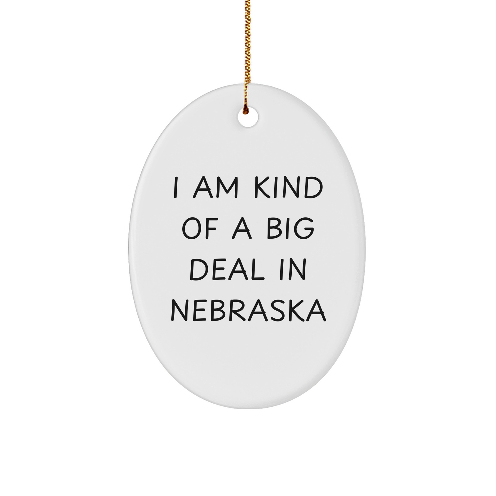 Funny Nebraska Oval Ornament Gifts from Friends for Loved Ones I Am Kind Of A Prime Selection In Nebraska - Image 1