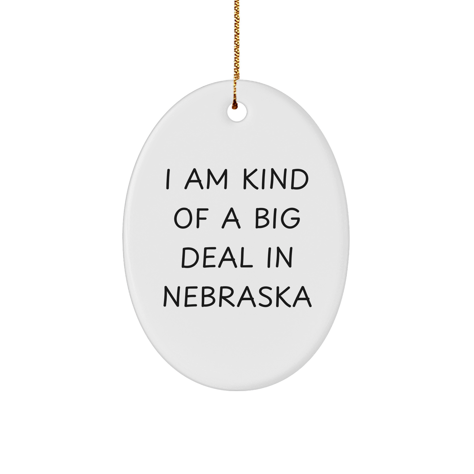 Funny Nebraska Oval Ornament Gifts from Friends for Loved Ones I Am Kind Of A Prime Selection In Nebraska - Image 1