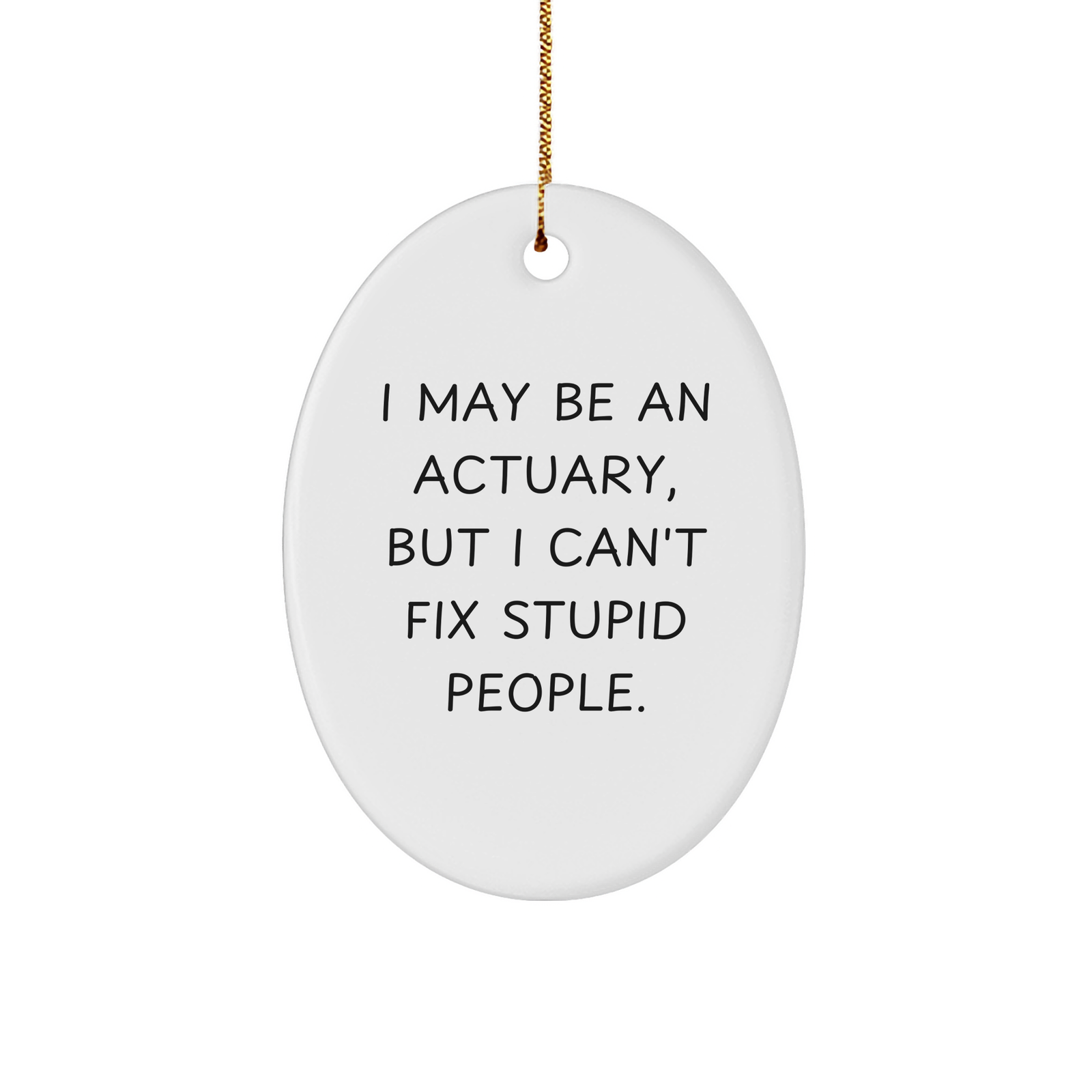 Actuary Oval Ornament, Funny Quote, 'I May Be An Actuary, But I Can't Fix Stupid People.', Gifts for Actuary from Friends - Image 1