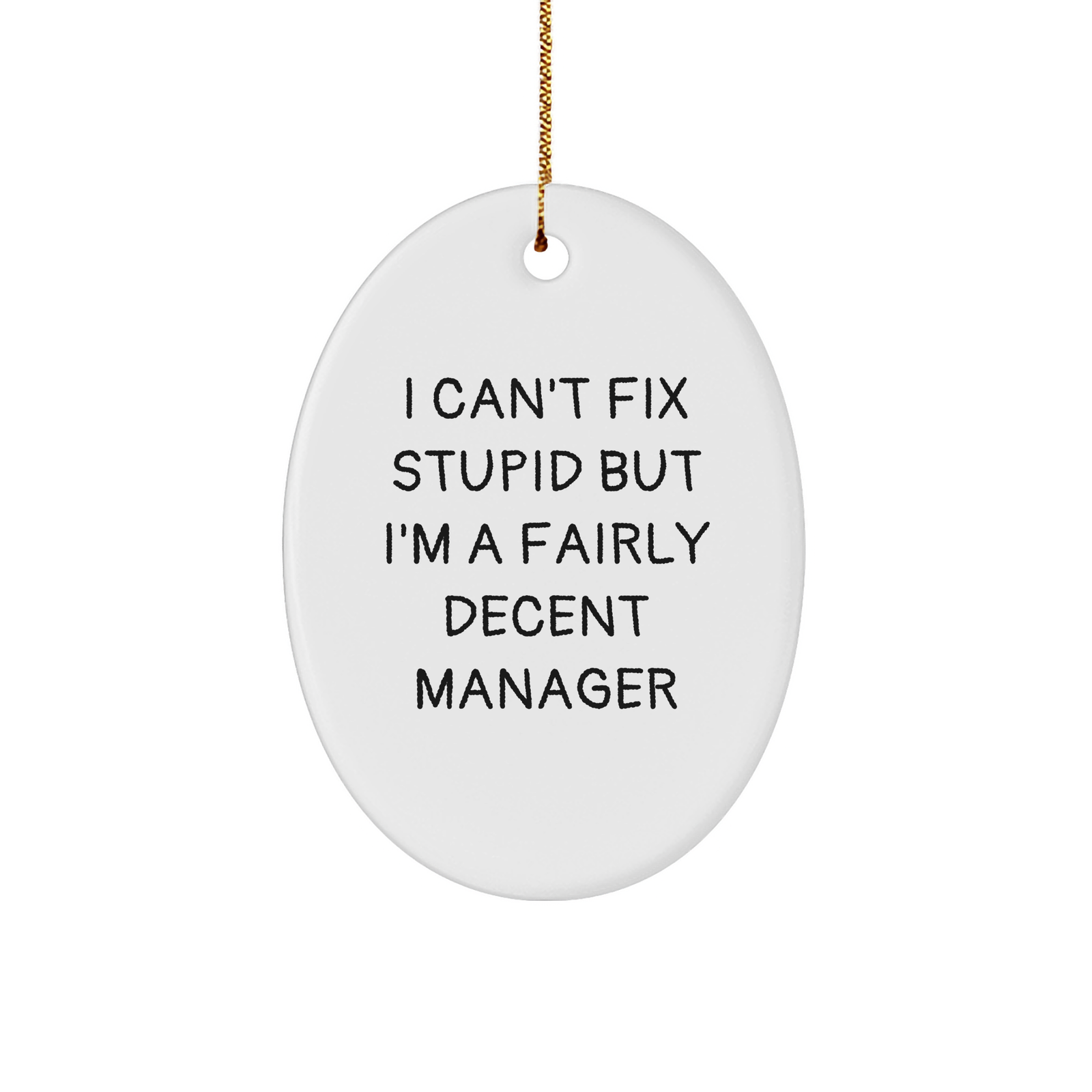 Funny Manager Gift I Can't Fix Stupid But I'm A Fairly Decent Manager Oval Ornament for Christmas Unique Gifts from Boss to Manager - Image 1