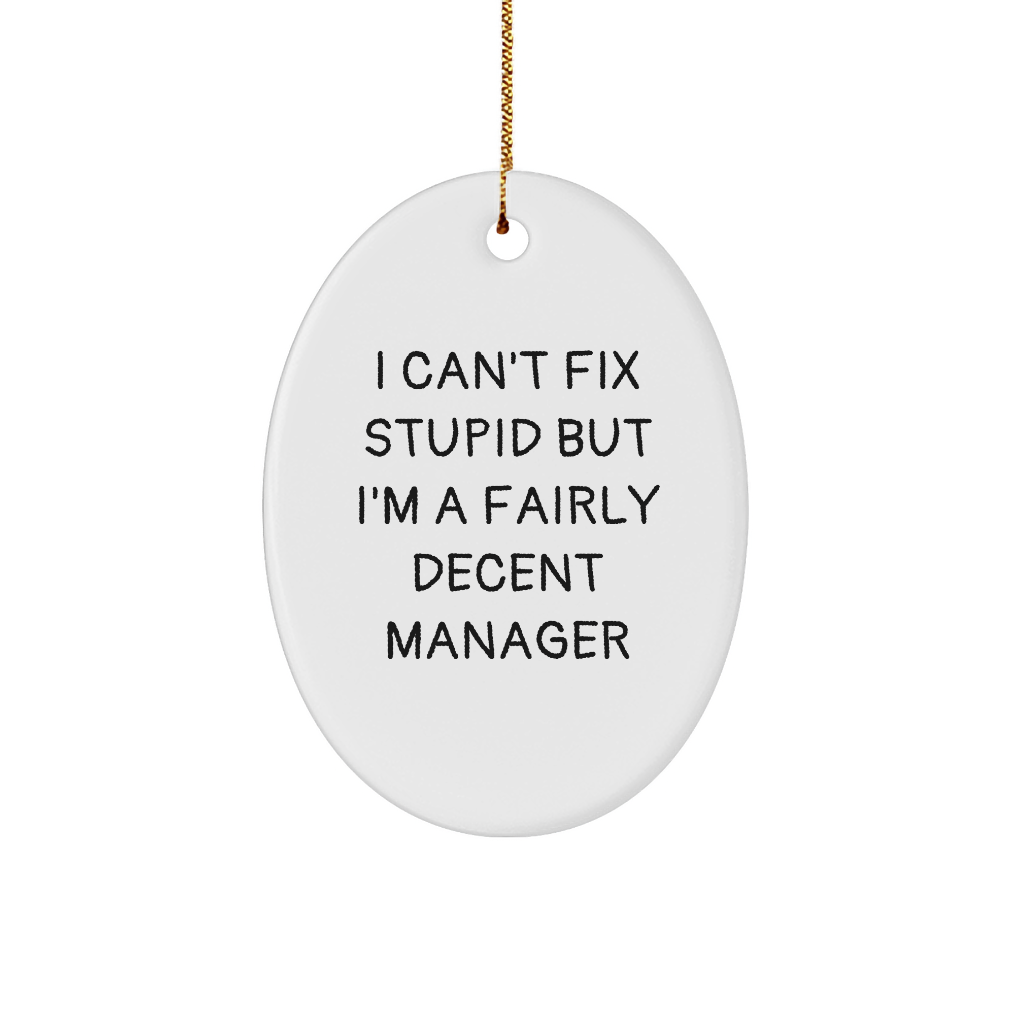 Funny Manager Gift I Can't Fix Stupid But I'm A Fairly Decent Manager Oval Ornament for Christmas Unique Gifts from Boss to Manager - Image 1
