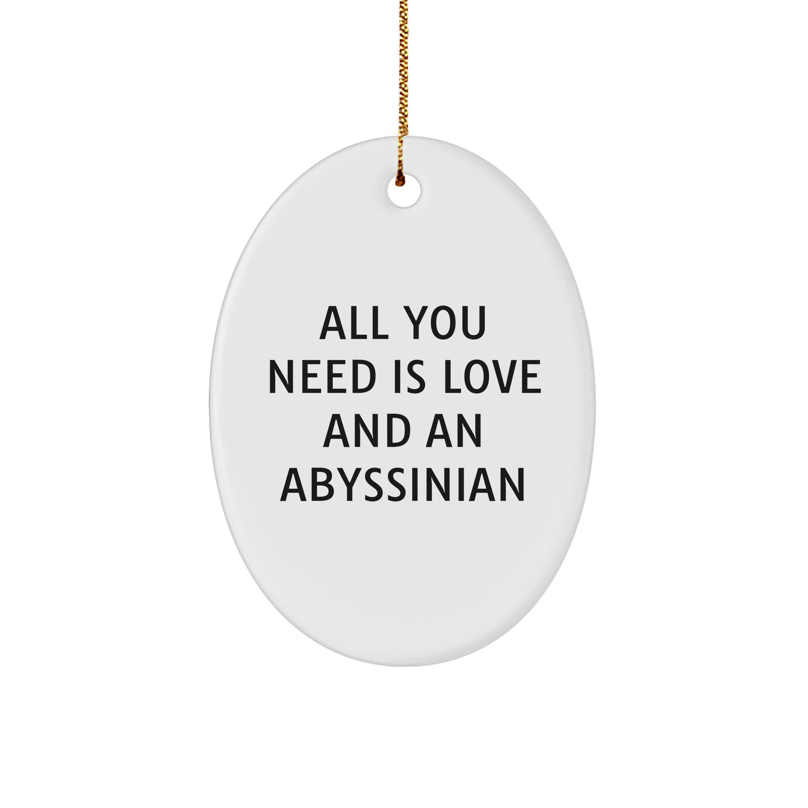 Abyssinian Cat Lovers Christmas Unique Gift Oval Ornament Gifts from Friends and Family with All You Need Is Love And An Abyssinian Quote - Image 1