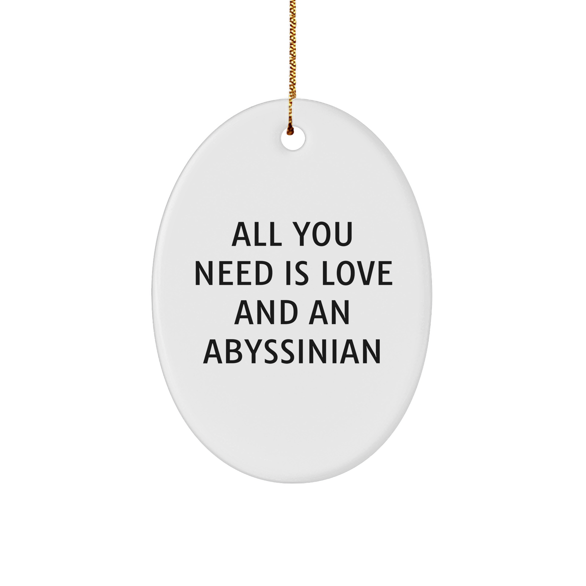 Abyssinian Cat Lovers Christmas Unique Gift Oval Ornament Gifts from Friends and Family with All You Need Is Love And An Abyssinian Quote - Image 1