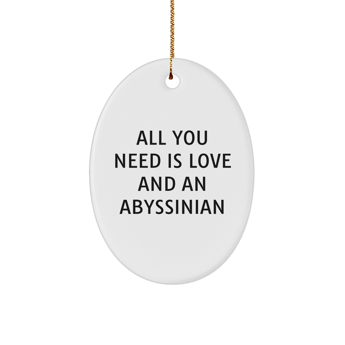 Abyssinian Cat Lovers Christmas Unique Gift Oval Ornament Gifts from Friends and Family with All You Need Is Love And An Abyssinian Quote - Image 1