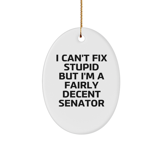 Senator Oval Ornament, Funny Quote 'I Can't Fix Stupid But I'm A Fairly Decent Senator', White Sturdy MDF, 3" Gold-Tone String for Hanging, Gifts from Men to Senator, Unique Christmas Memorable Present - Image 1