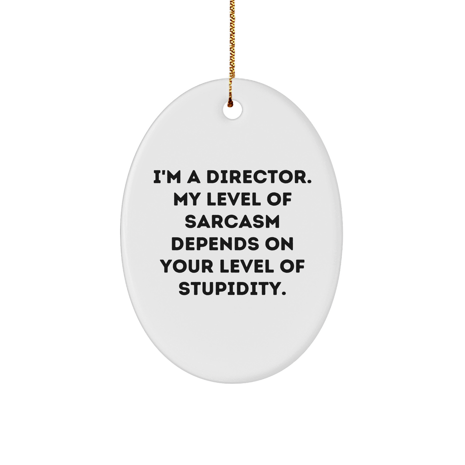 Funny Director Gifts for Christmas | I'm A Director. My Level Of Sarcasm Depends On Your Level Of Stupidity. Oval Ornament from Gifts from Men to Director - Image 1