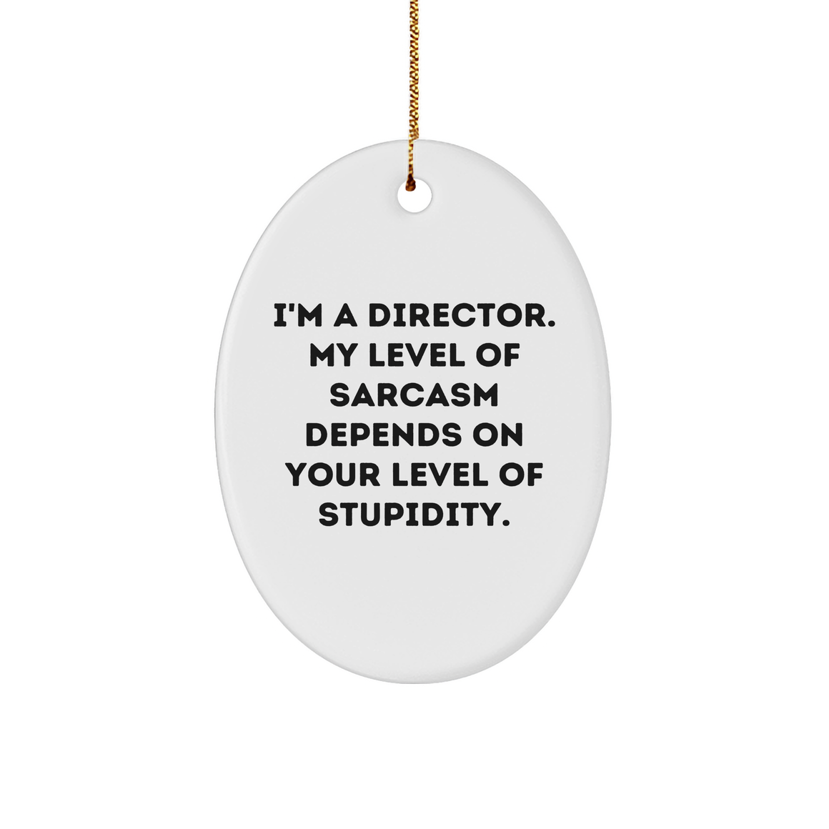 Funny Director Gifts for Christmas | I'm A Director. My Level Of Sarcasm Depends On Your Level Of Stupidity. Oval Ornament from Gifts from Men to Director - Image 1